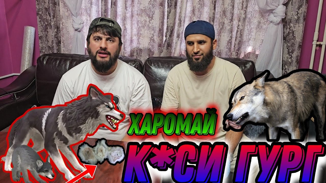 КУ*И  ГУРГ БАХТАДРО МЕКУШОЯД⁉️ШАРМ АЙ ХУДО КУНЕН