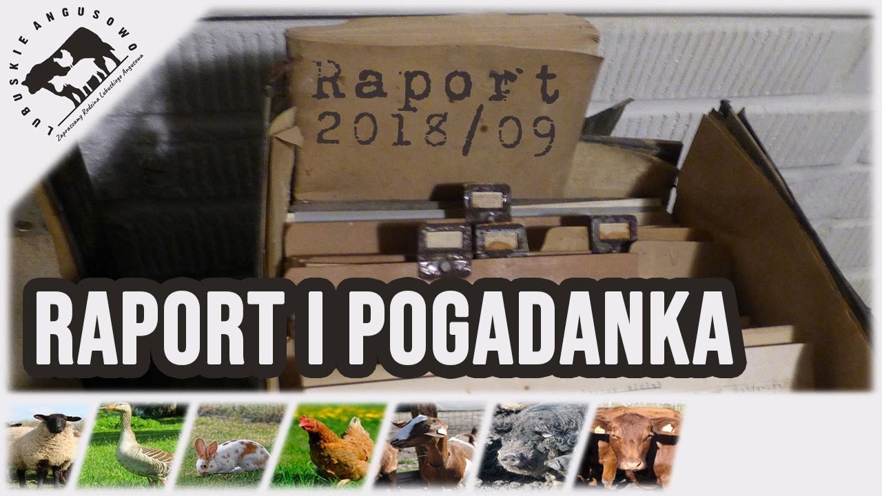 Lubuskie Angusowo - S1 E35 - Raport z farmy oraz pogadanki o herbacie kompostowej