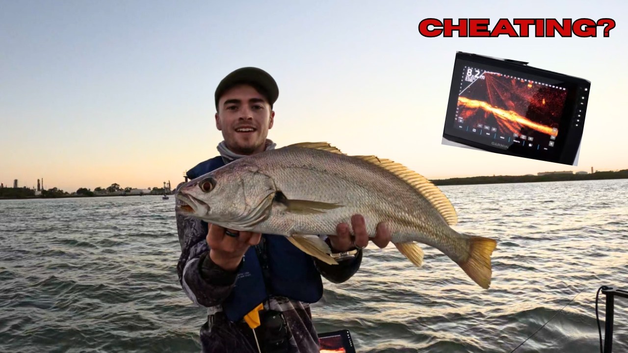Brisbane River Mulloway – From Dead Quiet to Chaos! | Is Livescope Cheating? | Moreton Bay Fishing