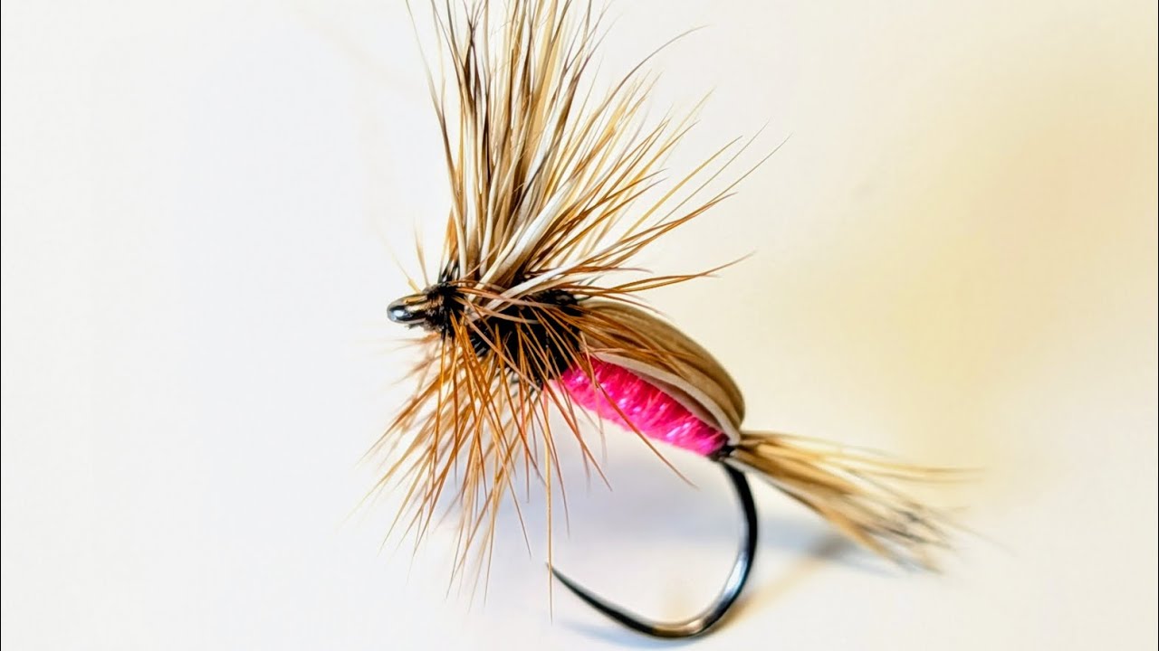 Humpy Dry Fly. #dryfly #flyfishing #flytying #troutflies #deerhair #shotaflies #Bestfly #graylingfli