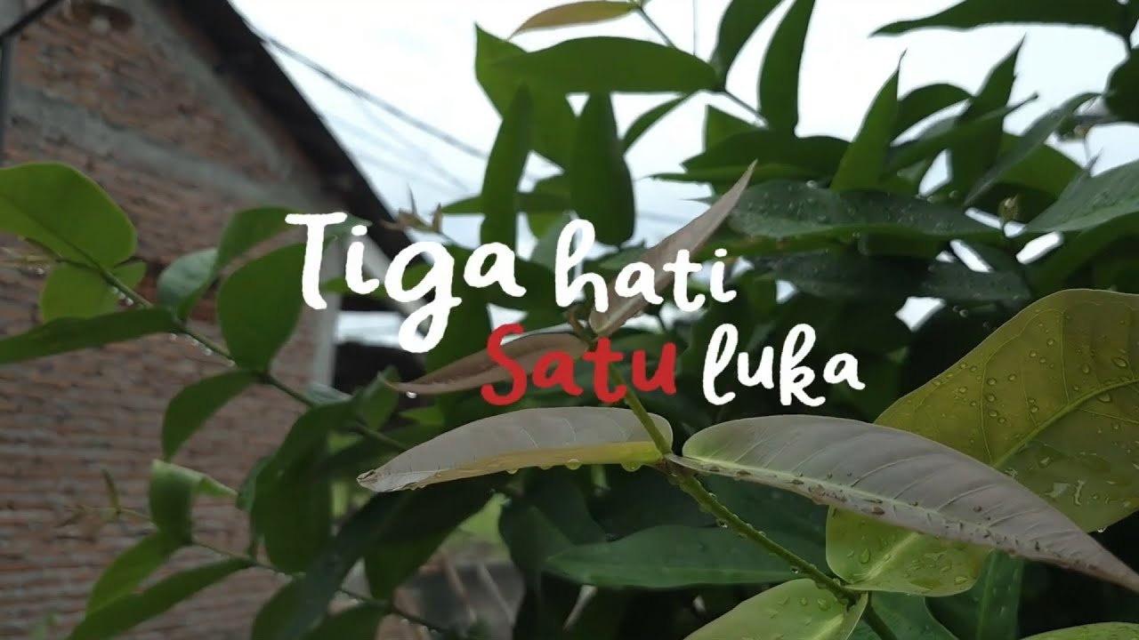 Tiga Hati Satu Luka