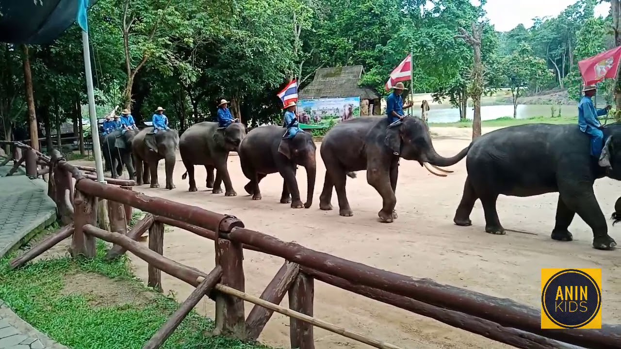 เที่ยวปางช้าง ขี่ช้าง งบหลักร้อย ศูนย์อนุรักษ์ช้างไทย ลำปาง