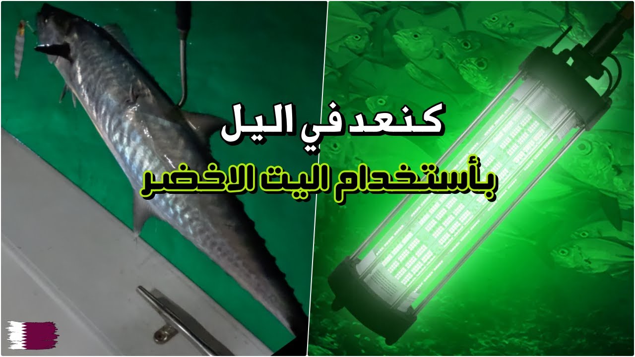 رحلة صيد كنعد في اليل على الليت الاخضر شمال قطر North of Qatar night jigging for kingfish