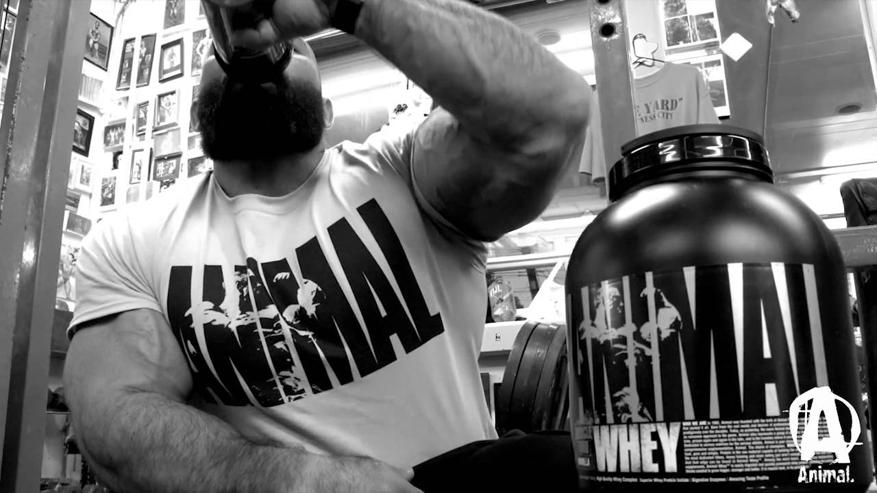 Animal WHEY. No games, no tricks, no hype. Just protein done right.