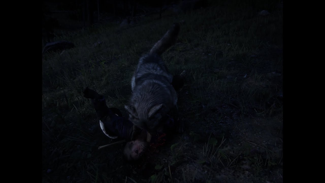 Rdr2 gone for hunting got hunted wild animal attack 