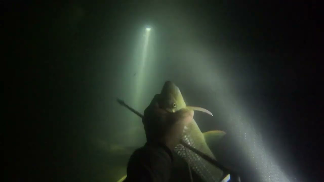 pesca nocturna en el río la miel # NOS SACO LA REPRESA 🌊😮‍💨