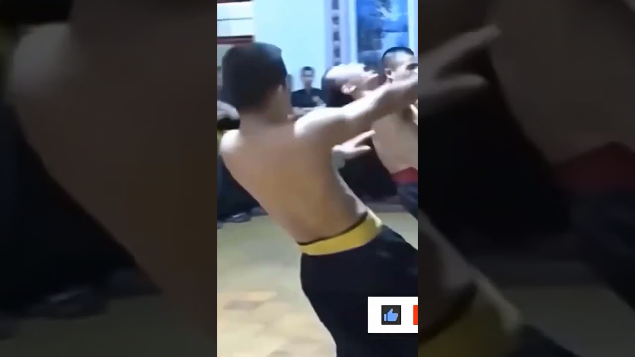 Fake Masters Getting DESTROYED By Real Pro Fighters! 