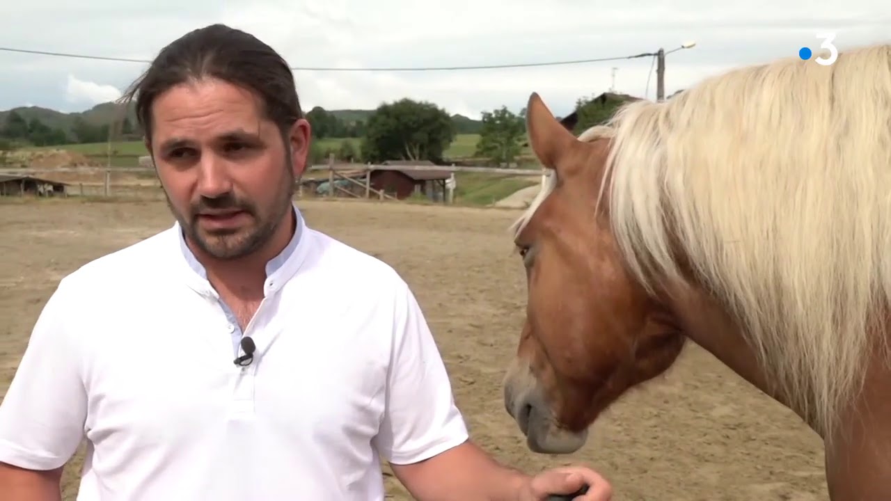 Un été au pays des chevaux - Le plateau de Maîche