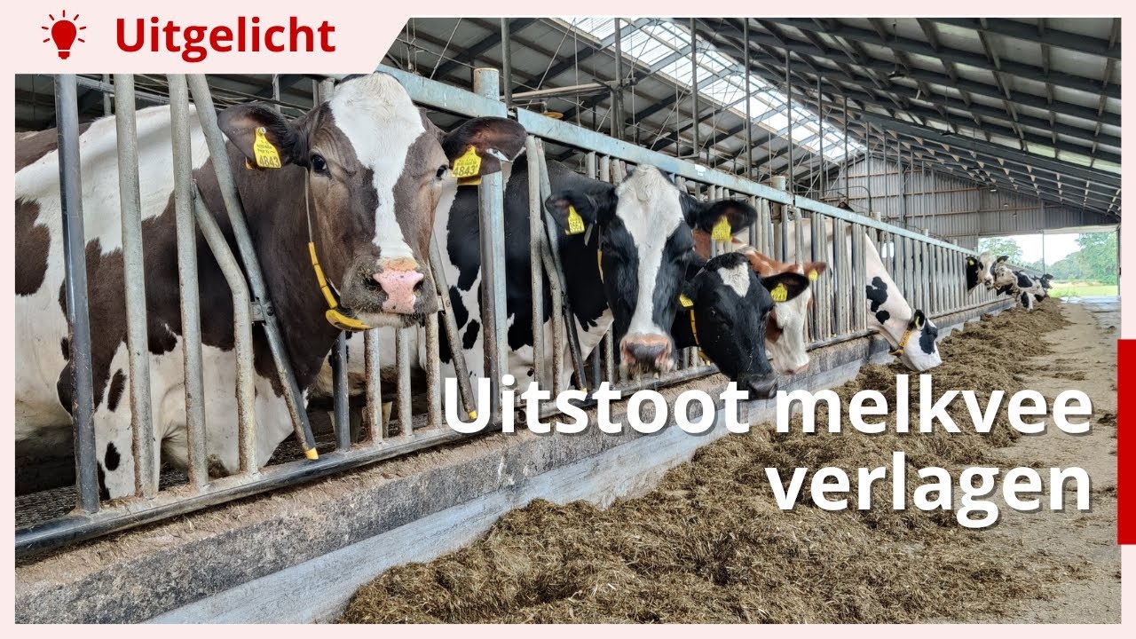 Uitgelicht | Uitstoot van melkvee verminderen