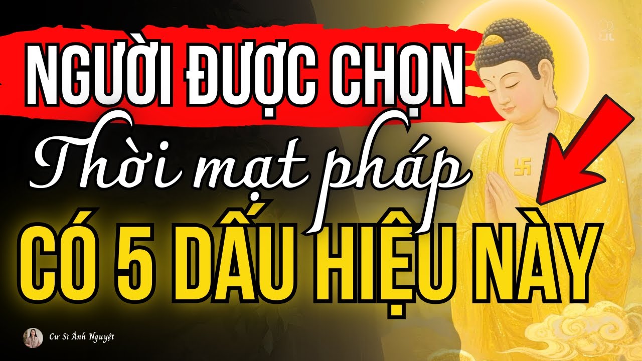 Dấu Hiệu Nhận Biết Bạn Là “Người Được Chọn” Trong Thời Mạt Pháp | Cư Sĩ Ánh Nguyệt