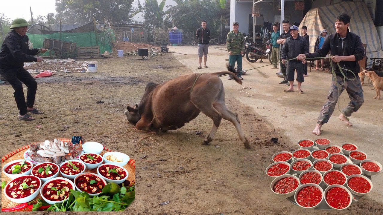 Pịa luộc ngả b&ograve; ăn tết l&agrave;m m&oacute;n pịa, tiết canh | Nhịp Sống T&acirc;y Bắc