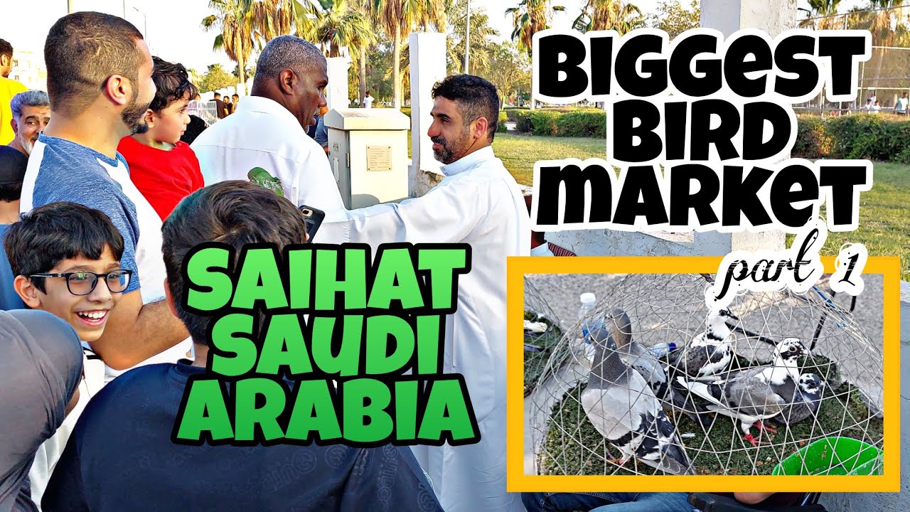 BIRD MARKET SA SAUDI ARABIA ACCESSORIES AT MGA VITAMINS (SAIHAT PART 1)