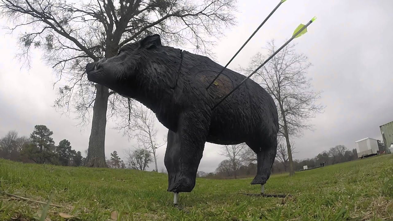 2015 Bowhunting - 70 Yard Practice - Mathews Creed XS