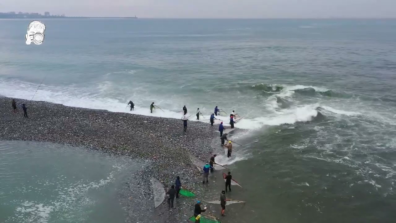 海中天會館空拍花蓮溪出海口撈捕魚苗 4K
