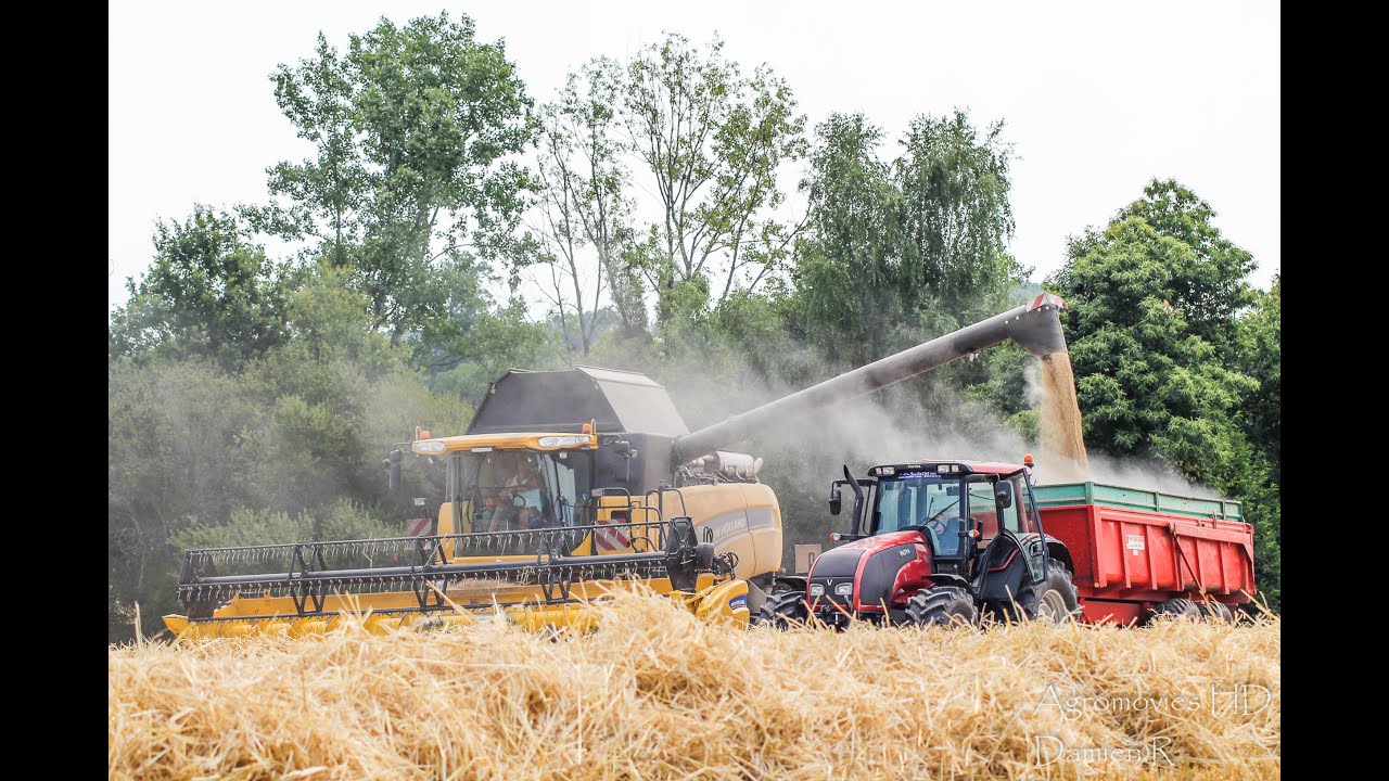 BIG HARVEST - 2x New Holland CX 8080 & TX 65 by ETA David Durand !!