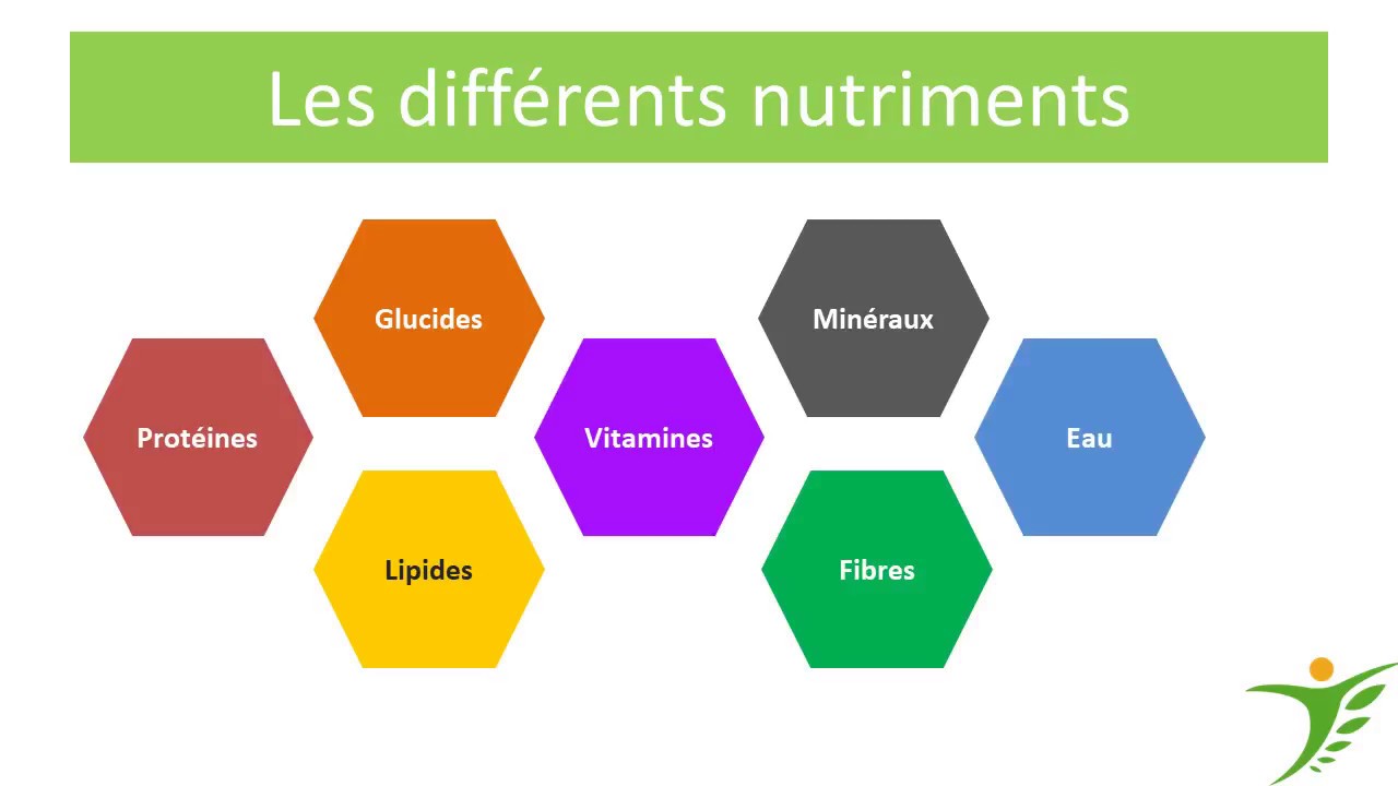 Protéines, glucides et lipides