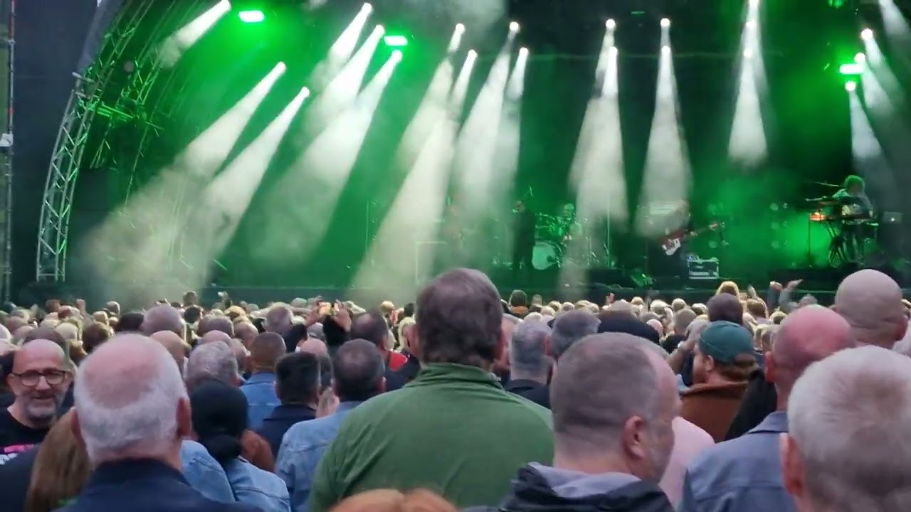 The DamneD  Belfast  17/8/2024
