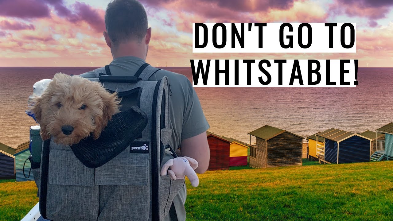 Why you shouldn't go to Whitstable & the best beach in Kent!