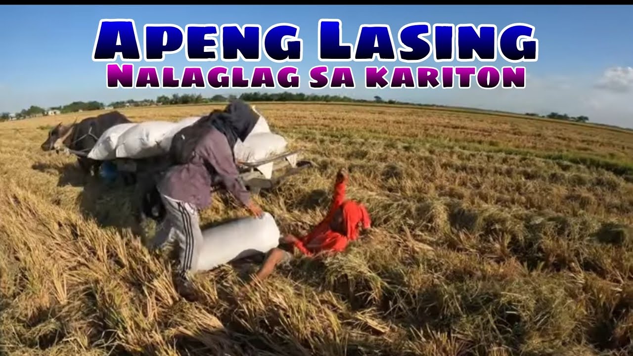 EP,659. Apeng Lasing Nalaglag sa kariton