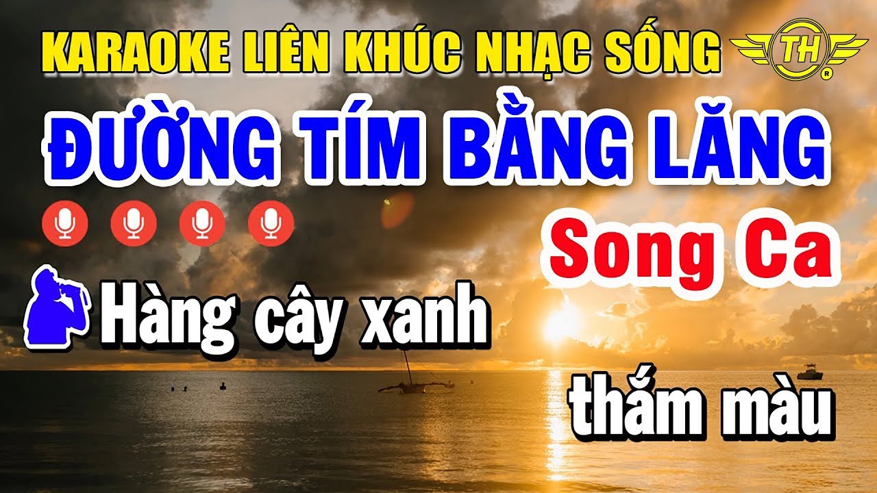 Karaoke Liên Khúc Nhạc Trữ Tình Song Ca Tuyển Chọn Nhạc Vàng Dễ Hát - Đường Tím Bằng Lăng