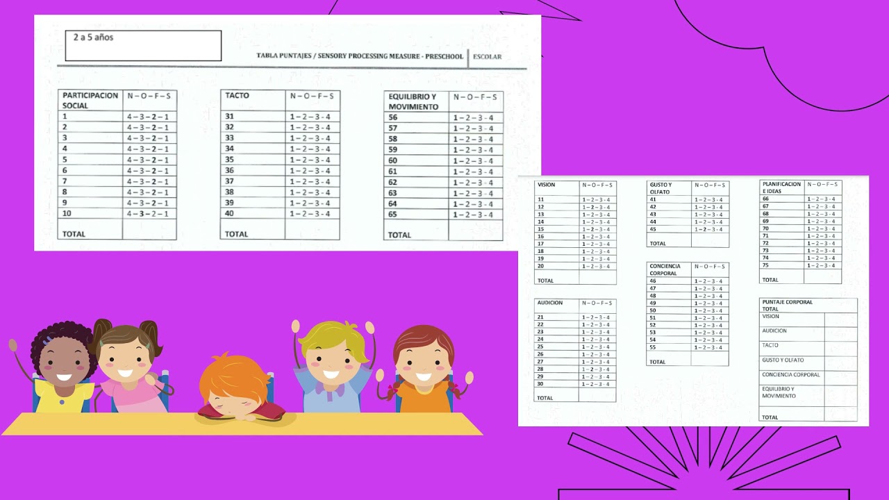 Explicación - Sensory Processing Measure (SPM)