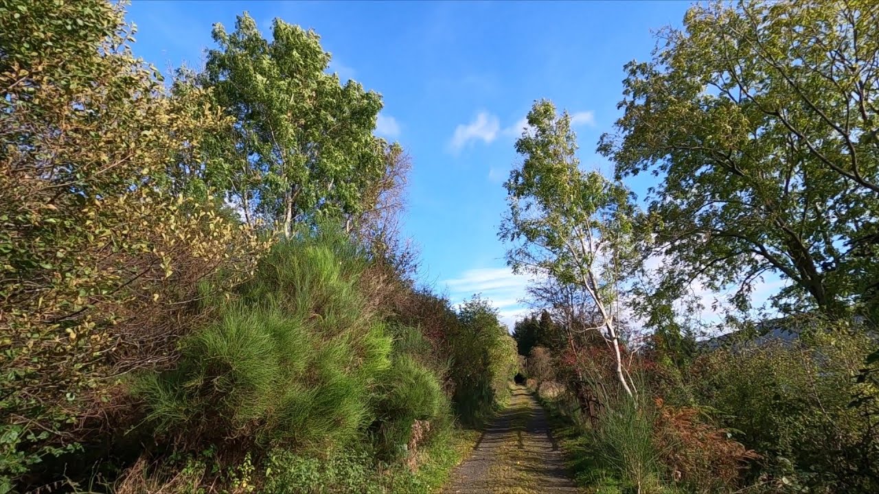 Loch Earn Railway Path  East from Lochearnhead