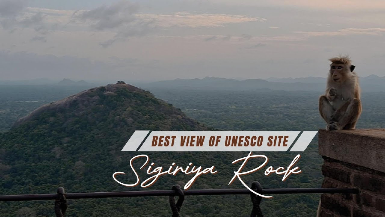 Exploring Sigiriya Rock 🪨 🇱🇰 #sigiriya #lionrock #unesco #heritage #visitsrilanka #ancienthistory 