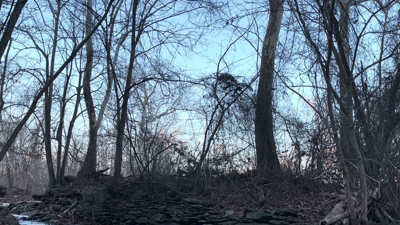 Nature Pause &mdash; Flowing River (2 Minutes)