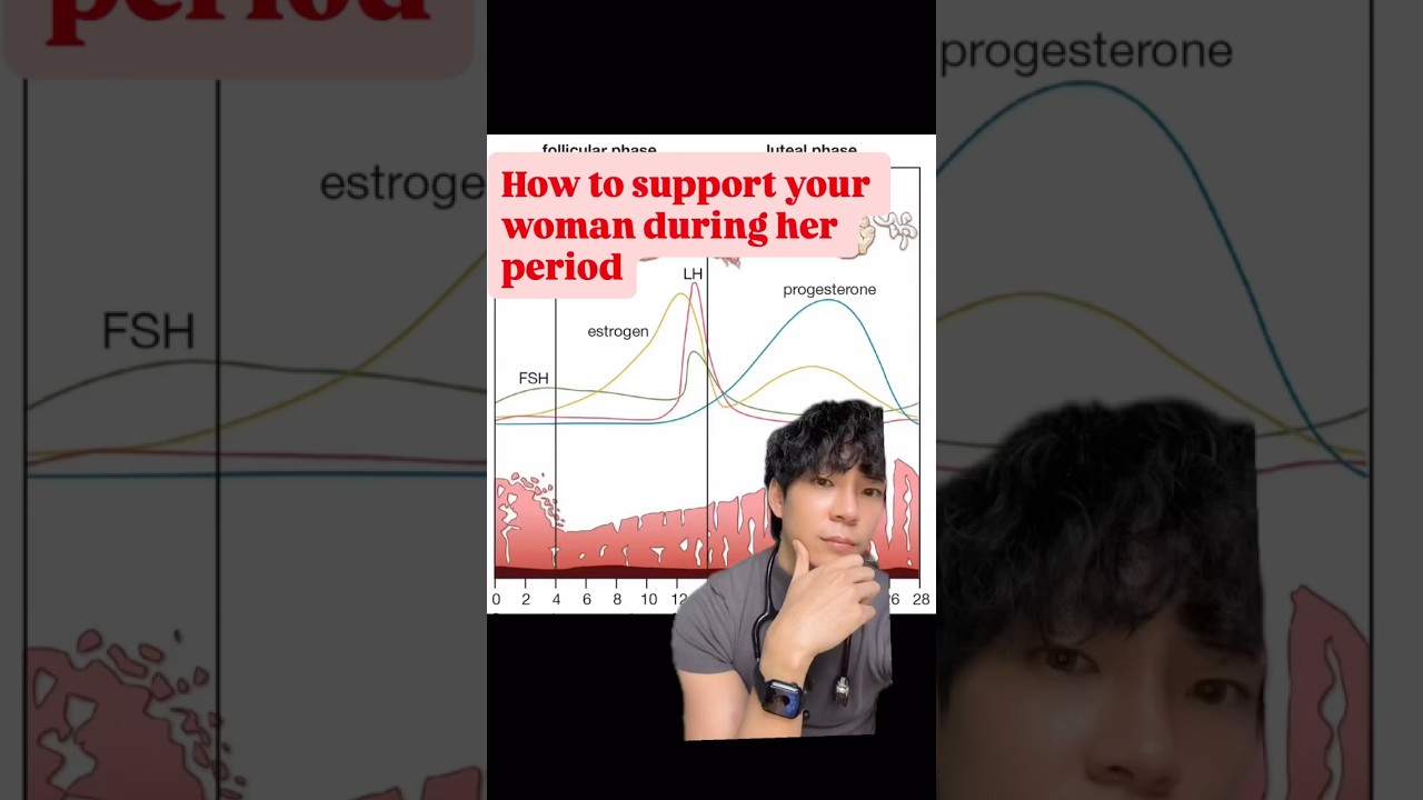Boyfriends guide to menstrual cycle