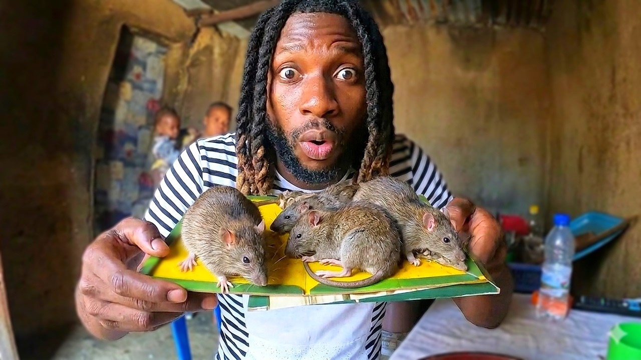 RATOS GIGANTES TOMARAM CONTA DA CASA - O QUE ACONTECEU DEPOIS FOI ASSUSTADOR! 🐀⚠️