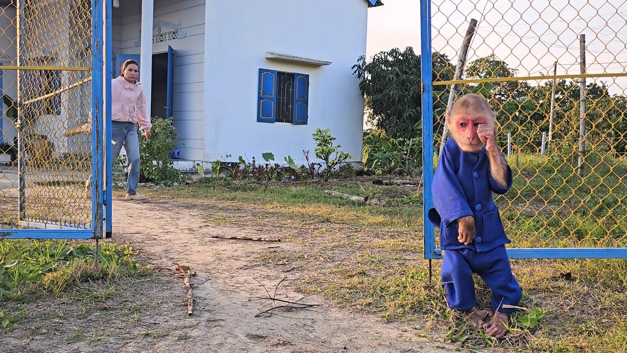 СУ боится, что мама накажет его за потерю денег.