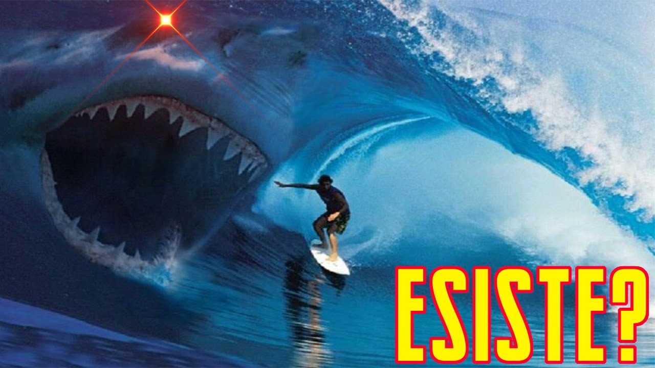 MEGALODONTE: esiste ancora?