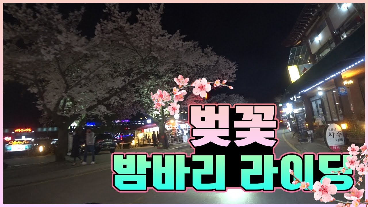 코로나19가 기승하는 요즘.....벚꽃보러 가는 사람이 과연 얼마나 있을까요? (feat.할리데이비슨 동학사 벚꽃 밤바리)