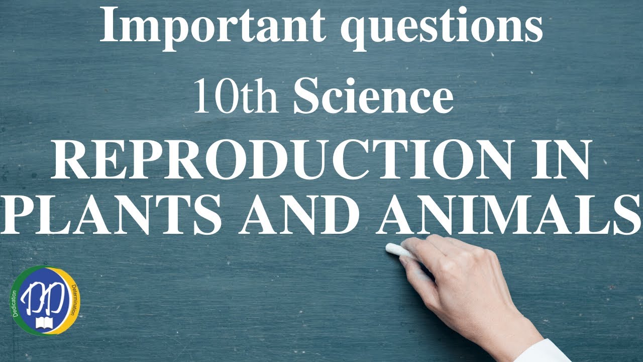 10th Science: TN Board: Important questions: Unit 17: REPRODUCTION IN PLANTS AND ANIMALS