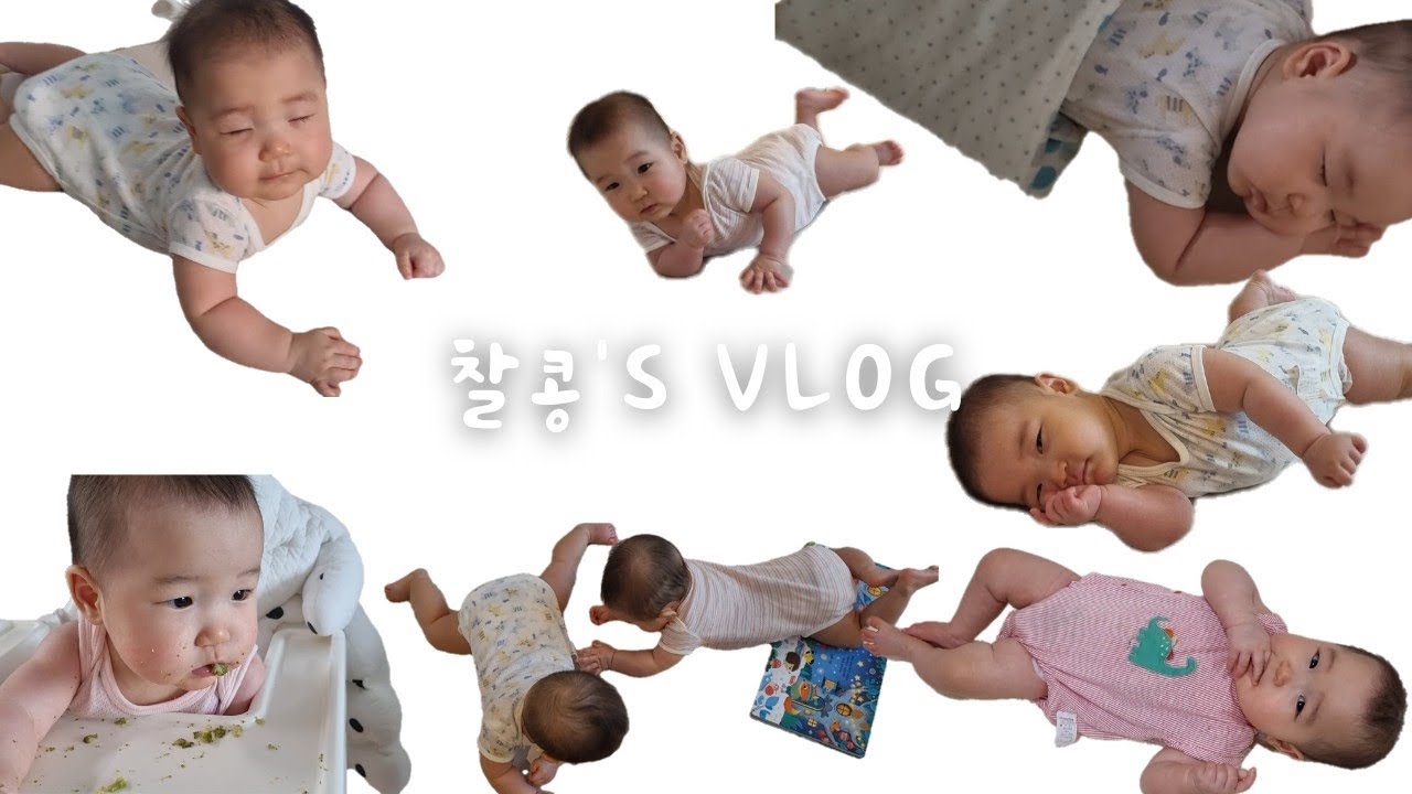7개월 쌍둥이 vlogㅣ 7개월이 된 둥이들! 브로콜리 먹방, 블록놀이, 열심히 기어다니기