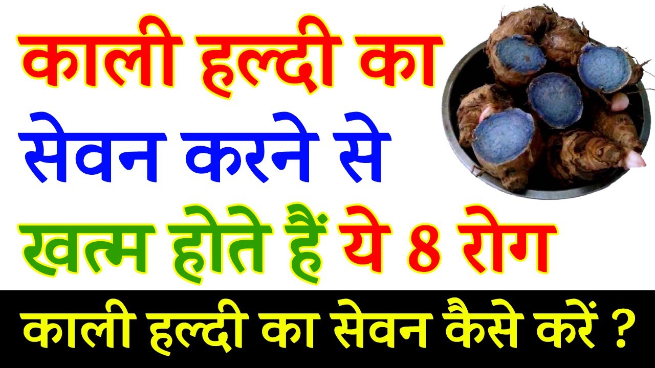 Consuming black turmeric cures these 8 diseases. Benefits of black turmeric.