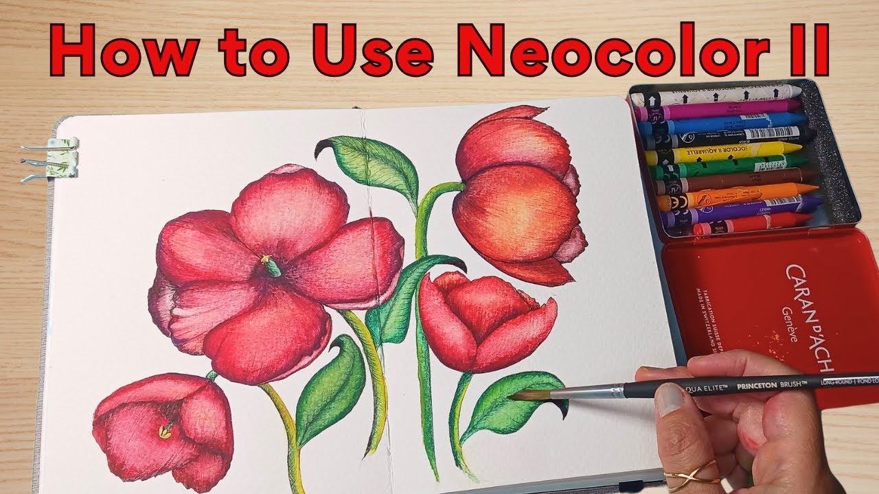 How to use Caran D'Ache Neocolor II - Step by Step tutorial for beginners