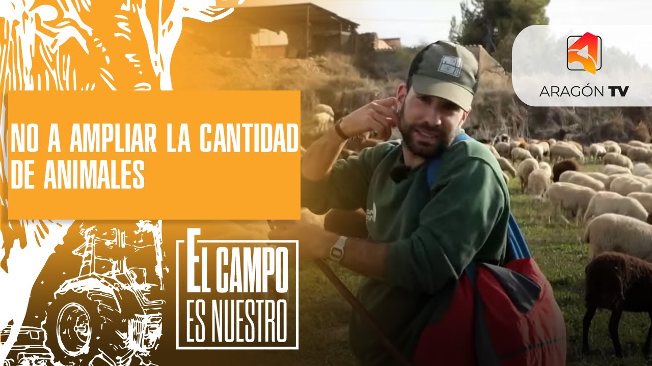 Saúl no quiere ampliar el rebaño