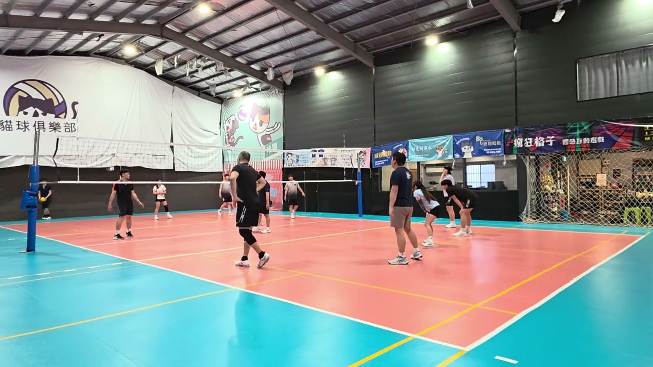 貓球下午_20260314_7