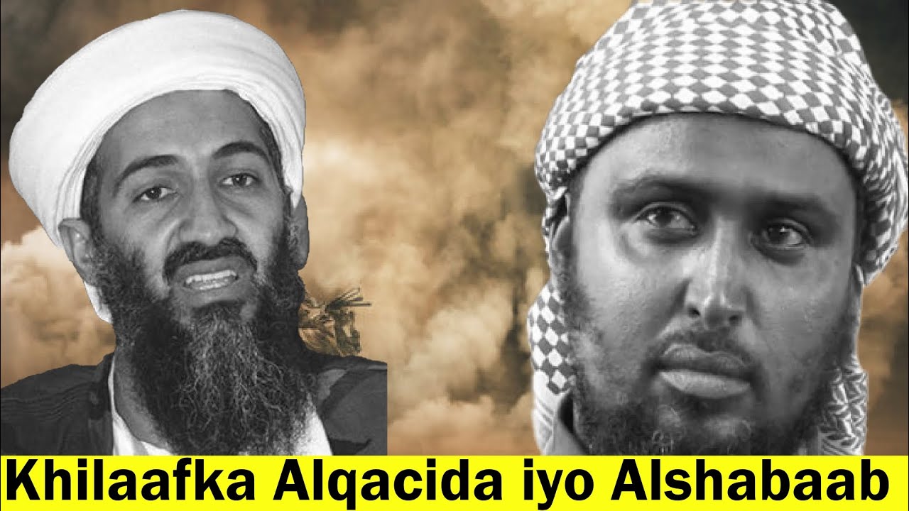 Khilaafka u dhaxeeya Alqaacida iyo Alshabaab iyo qodobada uu salka ku hayo khilaafkaasi.
