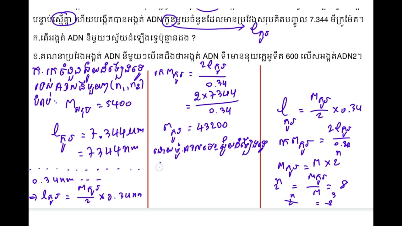 #លំហាត់53ADNកូន #លំហាត់ADNកូនត្រៀមបាក់ឌុប #biology  #adn #moeyscambodia  @khmerbiologyforbaccll8284 