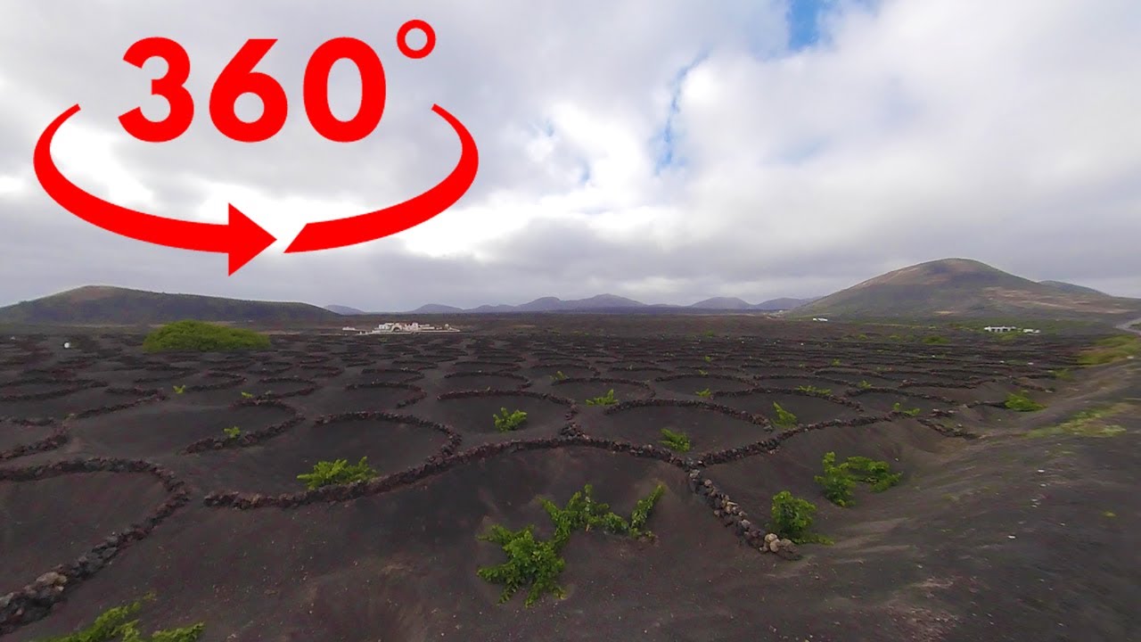 La Geria Lanzarote Wine | 360 VR Experiences & Adventures