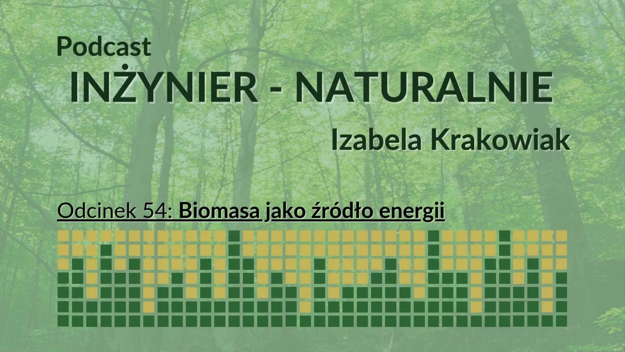 Potęga biomasy - biomasa jako źr&oacute;dło energii