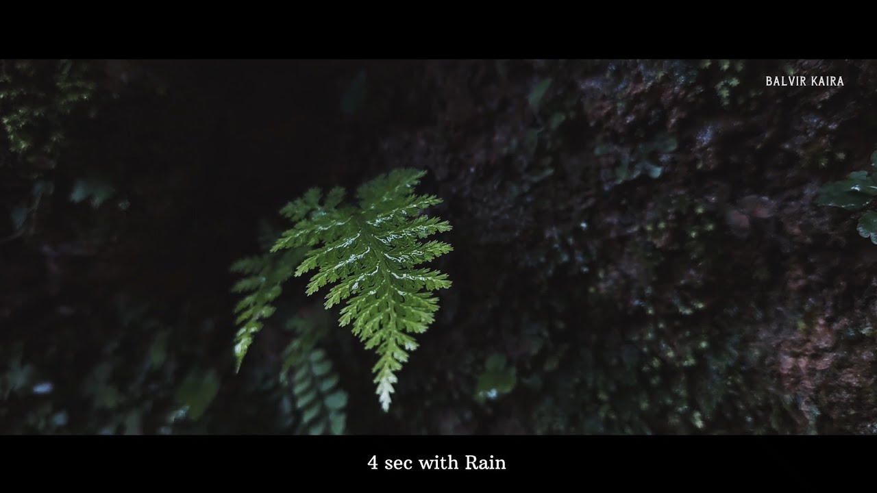 Monsoon | Monsoon in India | ( 5 sec with rain)|| #video #cinematic #samsung #canon200dii #vneditor