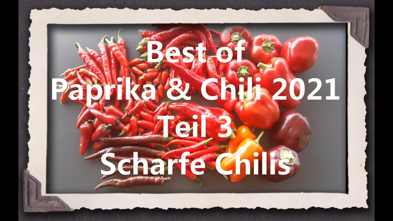 Best of Paprika & Chili 2021 Teil 3 - Scharfe Chilis