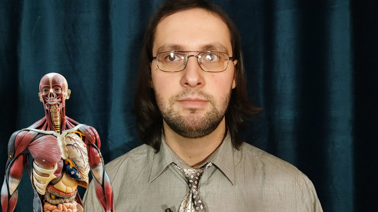 АСМР Скучная лекция по нормальной физиологии