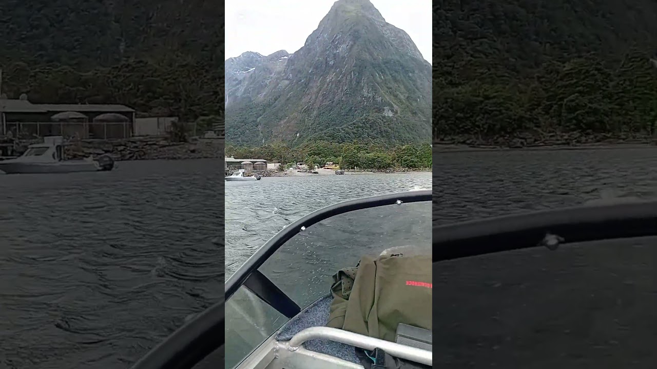 Milford sound new zealand 🇳🇿 