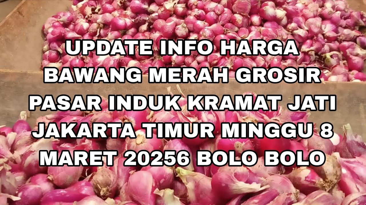 UPDATE  HARGA BAWANG GROSIR PASAR INDUK KRAMAT JATI JAKARTA TIMUR MINGGU 8 MARET 2026 BOLO BOLO