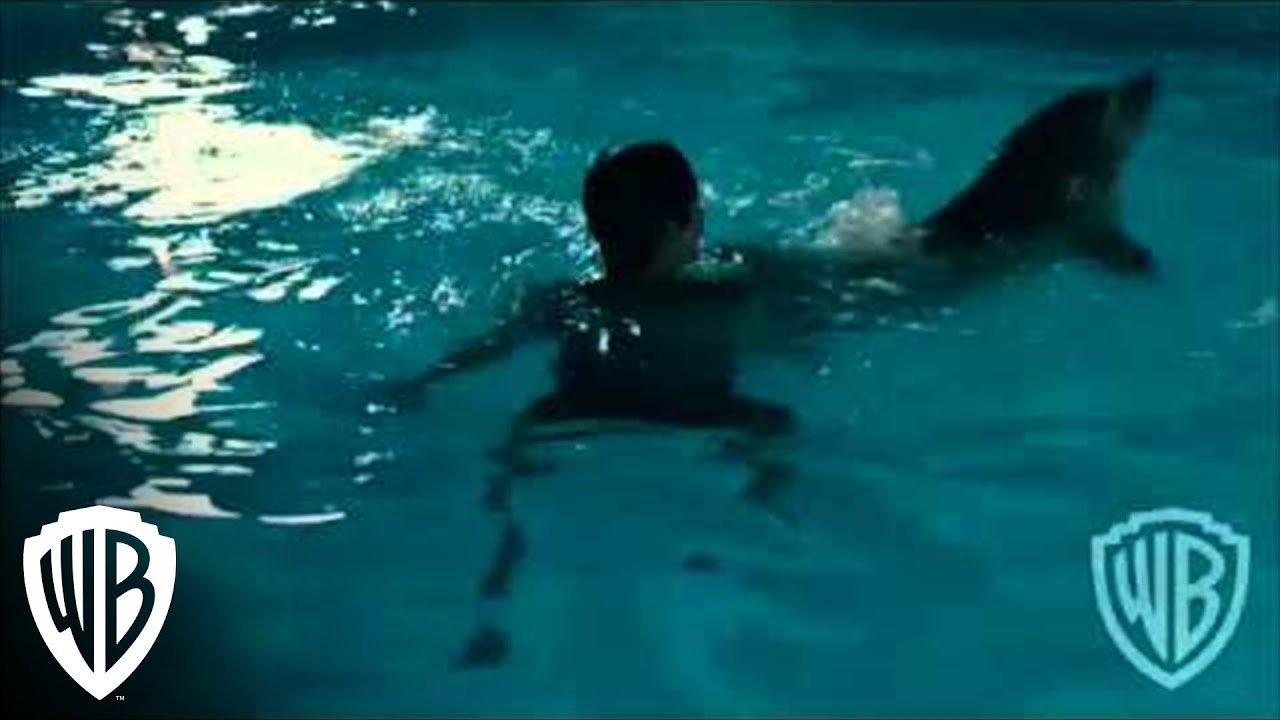 Dolphin Tale | Winter Splash | Warner Bros. Entertainment