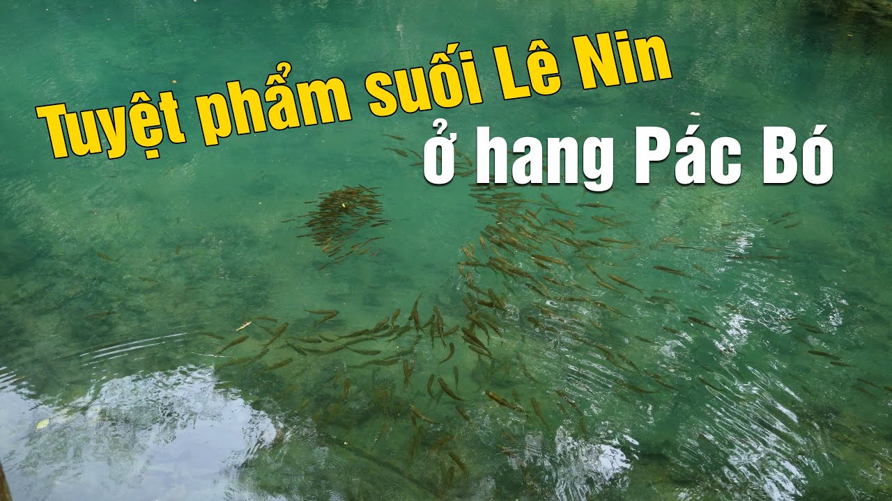 Cảnh tượng siêu đẹp ở Pác Bó Cao Bằng - Đây là lý do nơi này đang rất nổi tiếng về du lịch